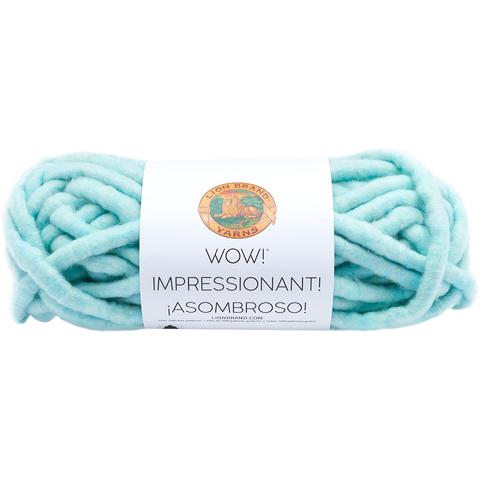 Lion Brand® Wow® Yarn Mermaids Tale