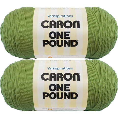Caron One Pound Yarn Grass Green Multipack Of 2
