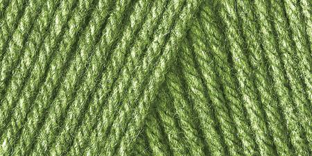 Caron One Pound Yarn Grass Green