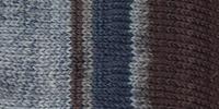 Patons Kroy Socks Yarn Blue Brown