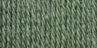 Patons Canadiana Yarn Medium Green Tea